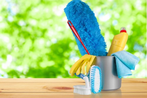 Professional cleaner in Chelsea providing home cleaning services