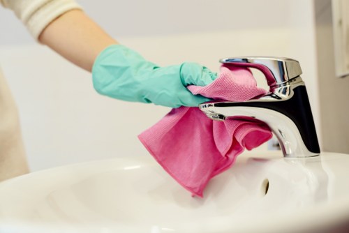Professional oven cleaning in Chelsea for a spotless kitchen