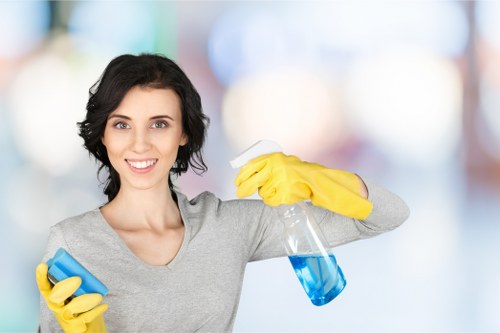Expert sofa cleaning for delicate upholstery and velvet furniture
