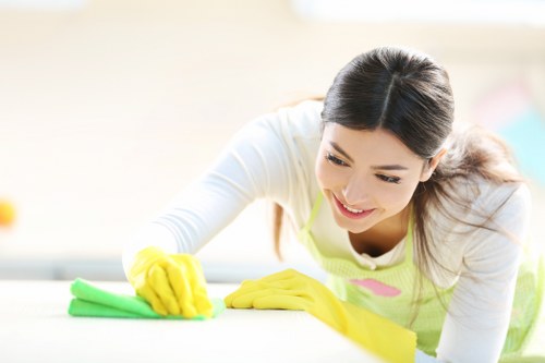 Chelsea oven cleaner removing baked-on grime from a cooker