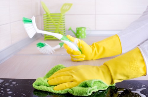 Deep oven cleaning service for Chelsea homes