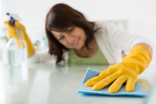Carpet cleaning equipment used by a Chelsea carpet cleaner