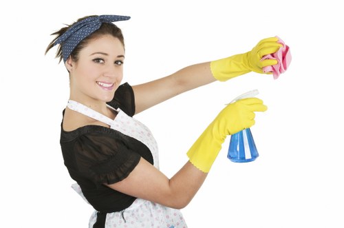 Analytics and performance monitoring concept for a carpet cleaning website