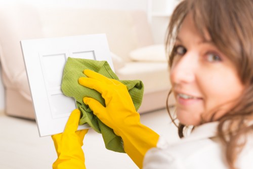 Deep oven cleaning service in Chelsea for a spotless appliance