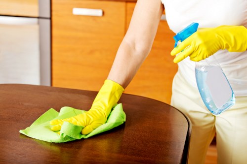 Deep carpet cleaning equipment used in a Chelsea property